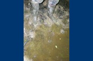 DSCN1196