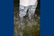 DSCN1197