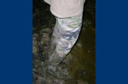 DSCN1199