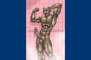 Art P F Detail  26 