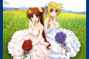 Flower of Lys (3)