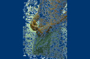gif0022