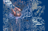 gif0023