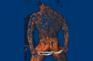 gif0025