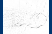 P1180486