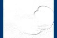 P1180488
