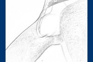 PA270321