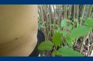 sorti nature (17)
