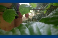 sorti nature (23)