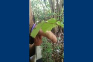 sorti nature (5)