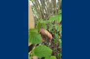 sorti nature (7)