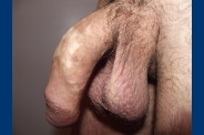 DSCF3416
