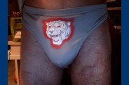 tigre (1)