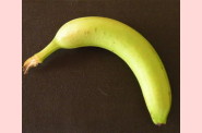 Son-fruit-préféré