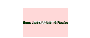 img-bann-pornomaxi.gif
