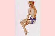 pinup 310