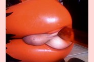 Photo 113