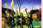 Oeuvre d'Art   14 