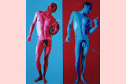 Oeuvre d'Art   61 