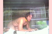 Pochi le chien 13