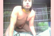 Pochi le chien 17