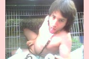 Pochi le chien 22