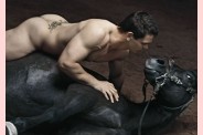 dievx-dv-stade-2011-naked-stallion-butt