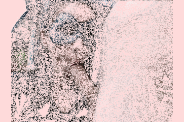 cq0e3v6x
