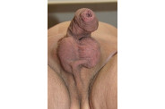 papy dort
