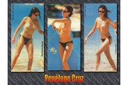 1436_Penelope_Cruz_paparazzi_nude_shot.jpg