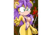 Sonic022