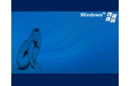 MisterWall 091002 WindowsXp 016