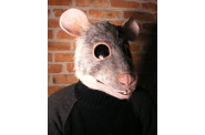 animals,mask,rat,masks,surreal-298cc8cdf1d2ab3f5cf0a55be6ed