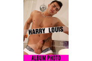 Harry Louis
