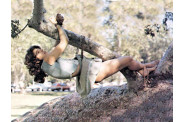 Tree Hugger