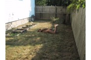 wife141