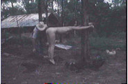 yard45