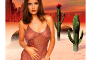 Salma Hayek Celebrity Female Cactus Passion Wallpaper  (pam