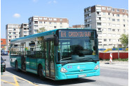 CITURA GX327 Turquoise NR