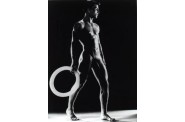 joe d'allesandro14