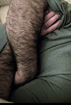 HairyArms.642