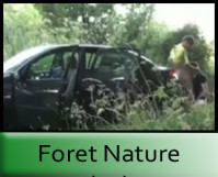 Foret Nature