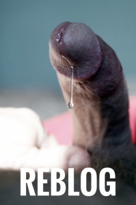 tumblr_o3azl7fMKy1urw48fo1_540.jpg