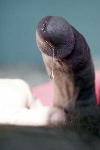 1--1--copie-1.jpg
