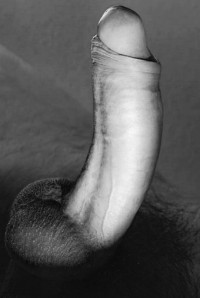 1--2--copie-3.jpg