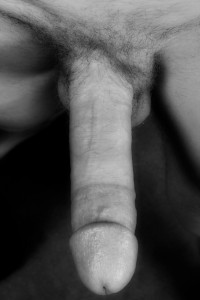 1--3--copie-14.jpg