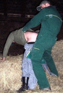 pig1