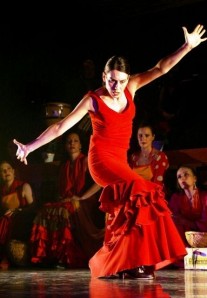 tn flamenco41