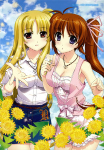 nanofeii sunflower
