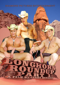 -HOM437--Longhorn-Roundup.jpg